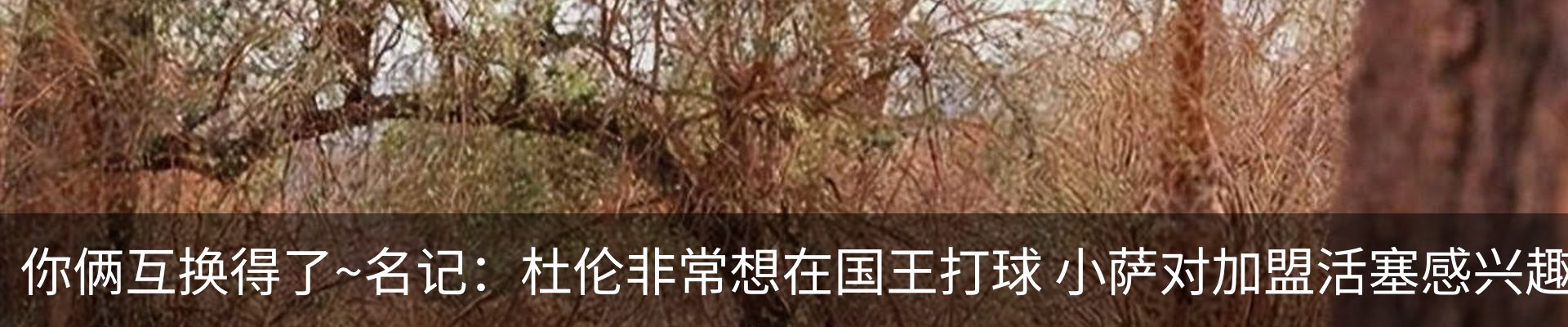 资讯动态