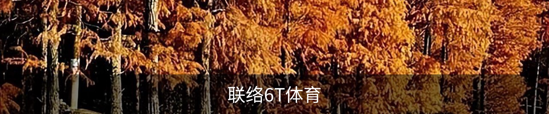联络6T体育