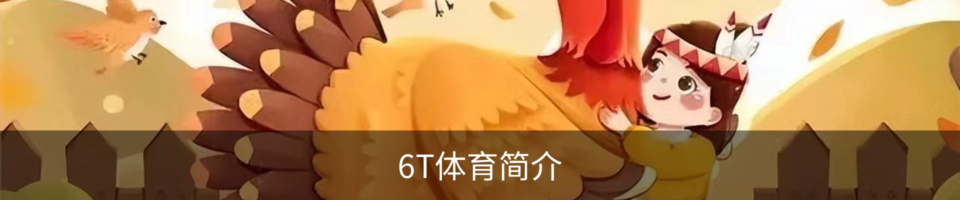 6T体育简介